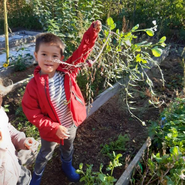Victor vindt een radijs De schooltuin
