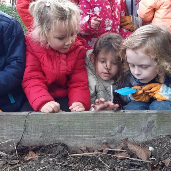 een slakje in de moestuin een slakje in de moestuin